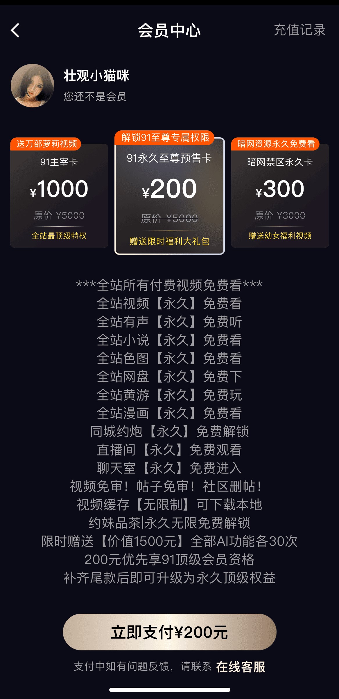 91PO会员开通页面多档VIP套餐特权说明与在线支付购买界面